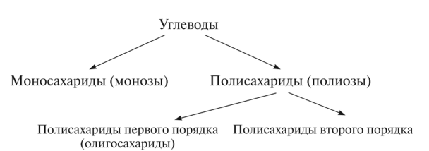 Классификация углеводов