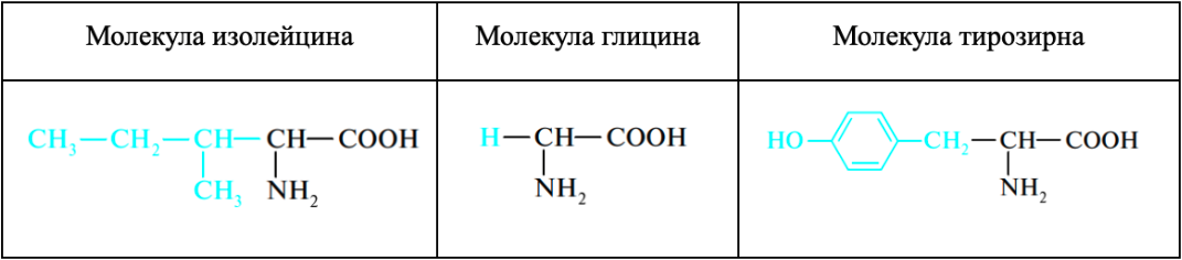 Строение разных аминокислот
